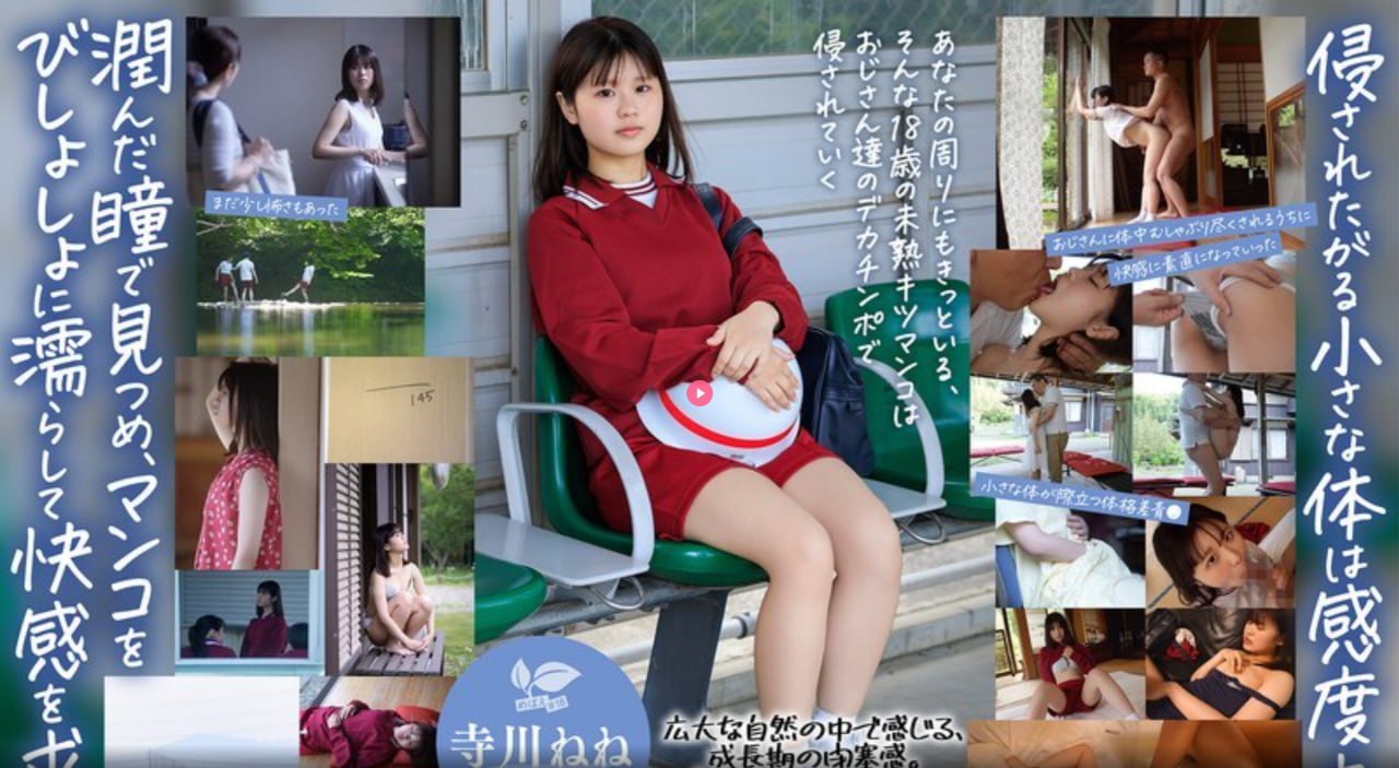 久久精品无码专区-日韩字幕中文字幕高清在线观看